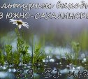 Выходные в Южно-Сахалинске: 29-31 июля
