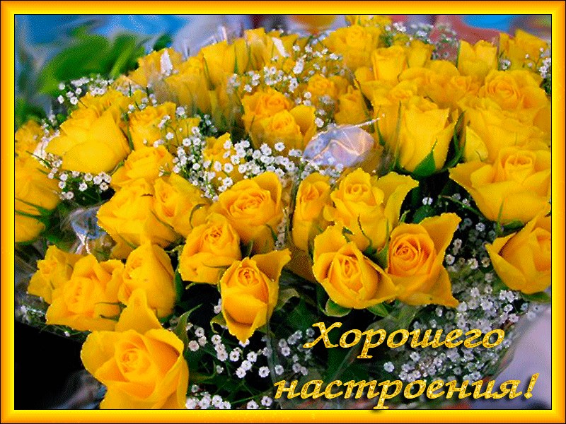 Желтые Цветы Поздравления