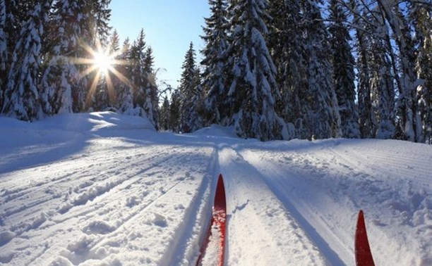 XX Международный Сахалинский лыжный марафон - 2019