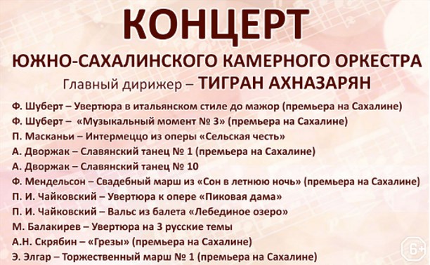 Концерт Южно-Сахалинского камерного оркестра