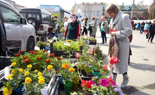 Сельскохозяйственная ярмарка Сельскохозяйственная ярмарка