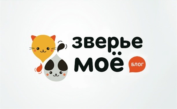 Зверье мое. Мои звери. Надпись ЗВЕРЬЕ мое. ЗВЕРЬЕ мое логотип.