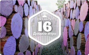 Хранение дров в доброутреннем с конкурсом)