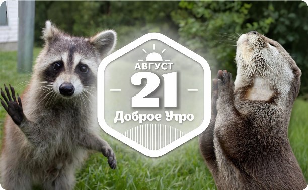 Попрошайки в доброутреннем с конкурсом)