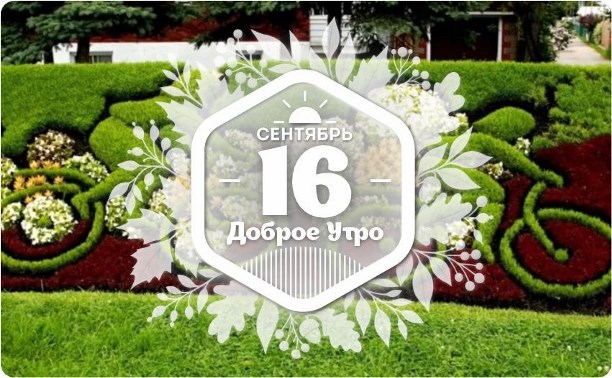 Топиарий в доброутреннем с конкурсом)