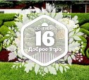 Топиарий в доброутреннем с конкурсом)