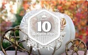 Кареты для Золушки в доброутреннем с конкурсом)