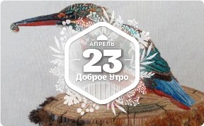 Вышитые птицы в доброутреннем с конкурсом)