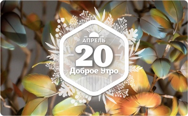 Плюмассье в доброутреннем с конкурсом)