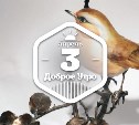 Птички из костяного фарфора в доброутреннем с конкурсом)