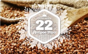 Гречка в доброутреннем с конкурсом)