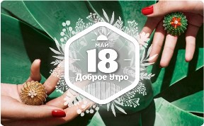Кактус как ювелирное вдохновение в доброутреннем с конкурсом)