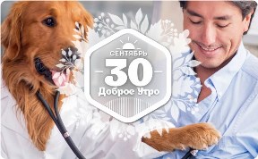 Врачи без диплома в доброутреннем с конкурсом)