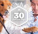 Врачи без диплома в доброутреннем с конкурсом)