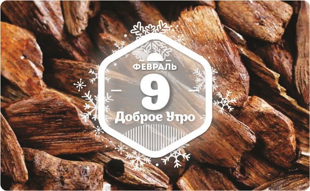 Тайны сандала в доброутреннем с конкурсом)