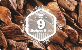 Тайны сандала в доброутреннем с конкурсом)