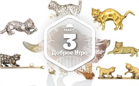 Драгоценные коты в доброутреннем с конкурсом)