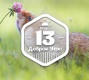 Животные нюхают цветы в доброутреннем с конкурсом)