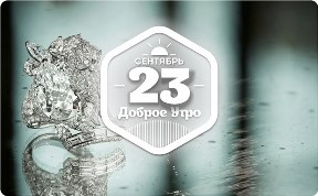 Львы и Коко Шанель в доброутреннем с конкурсом)