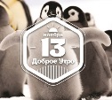 УмилительноФотографичное доброутренее с конкурсом)