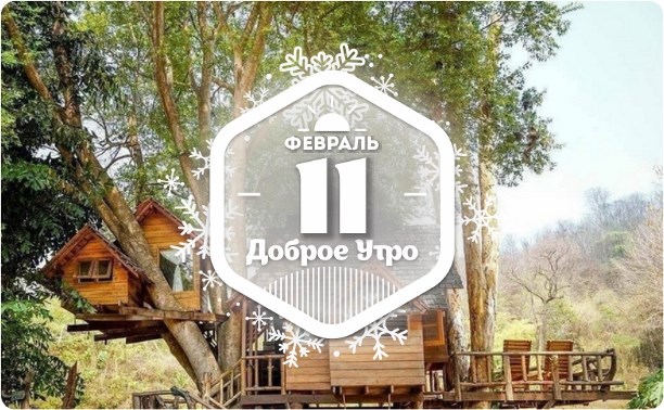 Домики на деревьях в доброутреннем с конкурсом)