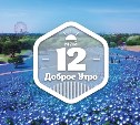 ЦветочноПолевое доброутреннее с конкурсом)