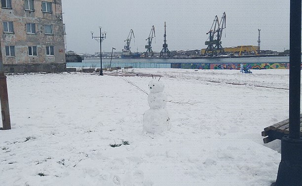 В городе Холмск требуются пешеходные мосты.