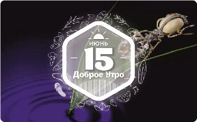 Работы Екатерины Кострыгиной в доброутреннем с конкурсом)