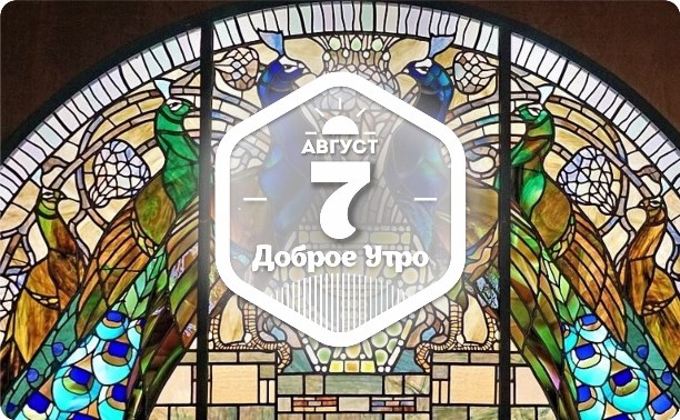 Павлины в доброутреннем с конкурсом)