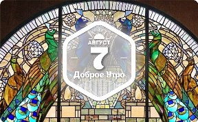 Павлины в доброутреннем с конкурсом)