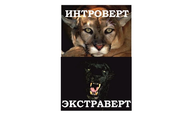 Давайте лучше узнаем друг друга