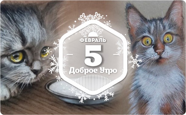 Пушистики в доброутреннем с конкурсом)