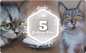 Пушистики в доброутреннем с конкурсом)