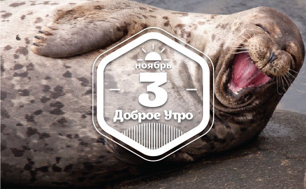 БесплатноПриятное доброутреннее с конкурсом)
