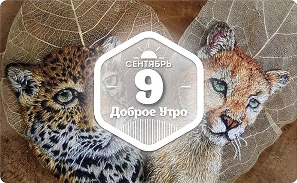 Вышивка по сухим листьям в доброутреннем в конкурсом)