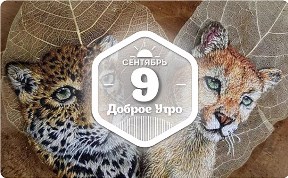 Вышивка по сухим листьям в доброутреннем в конкурсом)