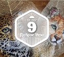 Вышивка по сухим листьям в доброутреннем в конкурсом)
