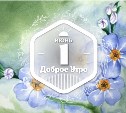 Незабудка в доброутреннем с конкурсом)