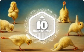 Цыпленок йога в доброутреннем с конкурсом)
