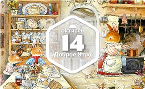 Волшебная страна в доброутреннем с конкурсом)