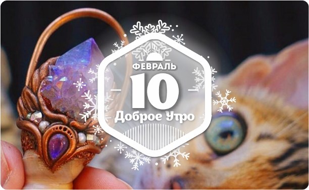 Коллекция "Нектар для духов" в доброутреннем с конкурсом)