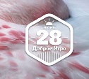 РозовоФламинговое доброутреннее с конкурсом)