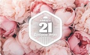 Удивительные факты о пионах в доброутреннем с конкурсом)