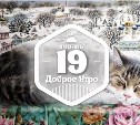 Снежные коты в доброутреннем с конкурсом)