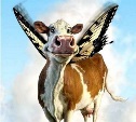 Летающая корова