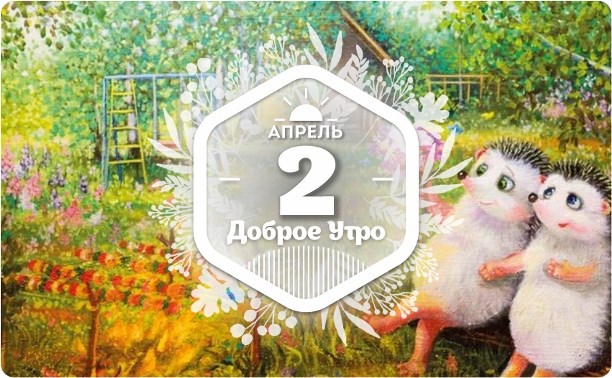 Весенние ёжики в доброутреннем с конкурсом)