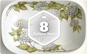 Расписные раковины в доброутреннем с конкурсом)
