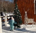 Воскресная прогулка в городском парке