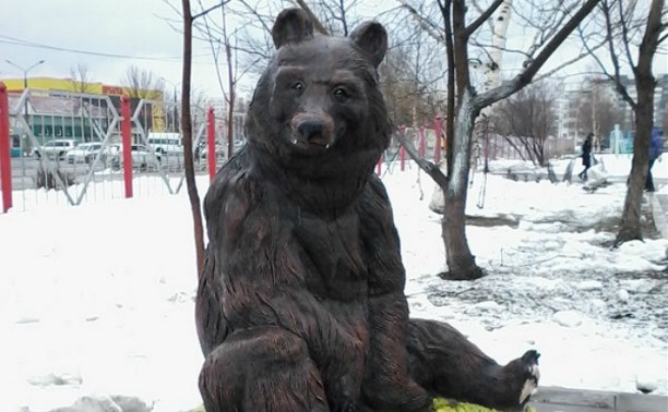 Медведи из Википедии (фото автора)
