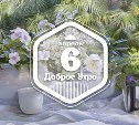 Будто реальное доброутреннее с конкурсом)